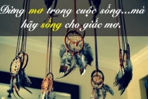 Những câu nói không hay nhưng đủ để suy ngẫm (6)