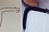 Sự thật sau loạt ảnh “Vẽ con mèo nhà em” đang gây sốt