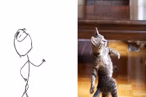 Khoảnh khắc mèo giống hệt nhân vật meme