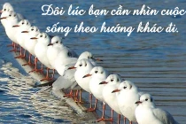 Những câu nói khích lệ tinh thần hay nhất