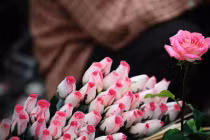 Không khí ngày 20/10 tràn ngập cộng đồng mạng