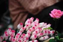 Không khí ngày 20/10 tràn ngập cộng đồng mạng