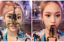 Hot girl Thúy Vi "tự sướng" với món ăn côn trùng kinh dị