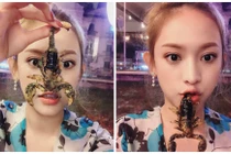 Hot girl Thúy Vi "tự sướng" với món ăn côn trùng kinh dị