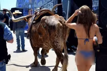 Chộp khoảnh khắc hài hước trong cuộc sống