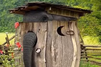 Những chú voi ngộ nghĩnh