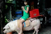 Hành động siêu “khó đỡ” của giới trẻ Việt (P44)