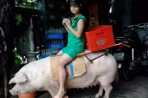 Hành động siêu “khó đỡ” của giới trẻ Việt (P44)