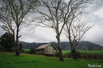 Đến núi rừng Tây Nguyên tận hưởng cuộc sống yên bình