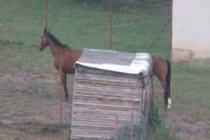 Khoảnh khắc trùng hợp đến lạ kỳ (23)