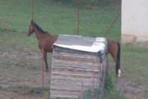 Khoảnh khắc trùng hợp đến lạ kỳ (23)