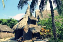 Về nơi “mái tranh dưới hàng dừa” trong bài Lời yêu thương