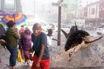 Cười đau ruột với sự thất bại của Photoshop (27)