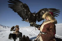 Xem người Kazakh đi săn tập thể với đại bàng