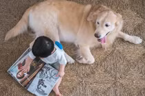 Bộ ảnh "em bé thiên thần" đáng yêu bên cạnh cún cưng