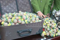 Pháo cấm tràn về Việt Nam… đón Tết