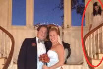 Những kẻ phá rối trong đám cưới