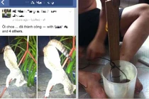 Thanh niên khoe chiến tích câu trộm mèo gây phẫn nộ