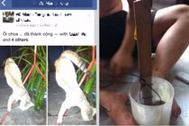 Thanh niên khoe chiến tích câu trộm mèo gây phẫn nộ