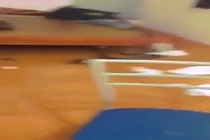 SV hò nhau bắt rắn dưới gầm giường phòng trọ ở HN