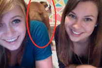 Những kẻ phá rối đáng ghét (20)