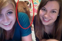 Những kẻ phá rối đáng ghét (20)