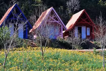 5 ngôi làng Việt đẹp như tranh vẽ níu chân du khách