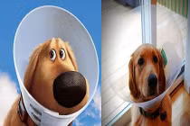 Ngộ nghĩnh nhân vật Disney ngoài đời thực (2)