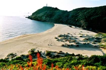 Điểm đến tuyệt đẹp của xứ sở "hoa vàng trên cỏ xanh"