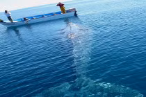 Khoảnh khắc trước khi “mọi thứ còn nguyên vẹn” (5)