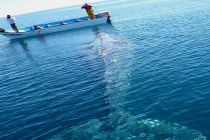 Khoảnh khắc trước khi “mọi thứ còn nguyên vẹn” (5)