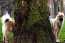 Khoảnh khắc trùng hợp đến lạ kỳ (20)