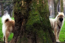 Khoảnh khắc trùng hợp đến lạ kỳ (20)