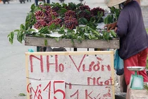 Vừa xuất hiện, nho “lạ” đã ngập thị trường