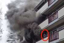 Chộp khoảnh khắc hài hước của cuộc sống (69)