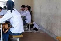 Giới trẻ Việt khó đỡ: Tranh thủ chợp mắt trong lớp