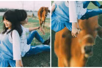 Cặp đôi trẻ “cạn lời” khi nhờ anh em xóa hộ... con bò