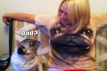 Chộp khoảnh khắc hài hước trong cuộc sống (77)