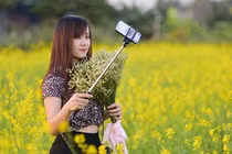 Cánh đồng hoa cải vàng rực bên sông Hồng hút giới trẻ