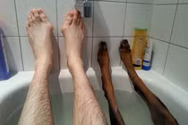 Chủ nào... chó nấy!