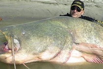 Câu được cá trê khổng lồ dài gần 3m, nặng 121kg