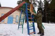 Cận cảnh chó nghiệp vụ được huấn luyện ở Nga