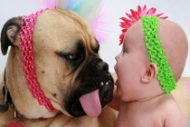 Khi bé yêu "cưỡng hôn" động vật (2)