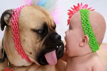 Khi bé yêu "cưỡng hôn" động vật (2)