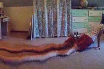 Cười ra nước mắt với những “dị nhân” trong ảnh