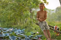 Đầm sen ở Nghệ An đua nhau nở "đốn tim" du khách