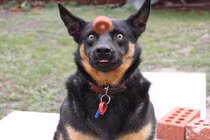 Trước khi "mọi thứ còn nguyên vẹn" (24)