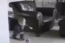 Em bé ăn vạ “giỏi nhất thế giới“