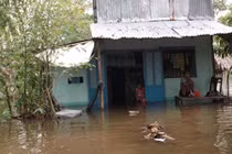 Vỡ đê ở Cần Thơ thiệt hại hàng trăm triệu đồng