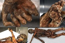 Tiết lộ sốc về nạn nhân của lời nguyền xác ướp Otzi